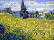 Vincent Van Gogh Landscape with Green Corn oil